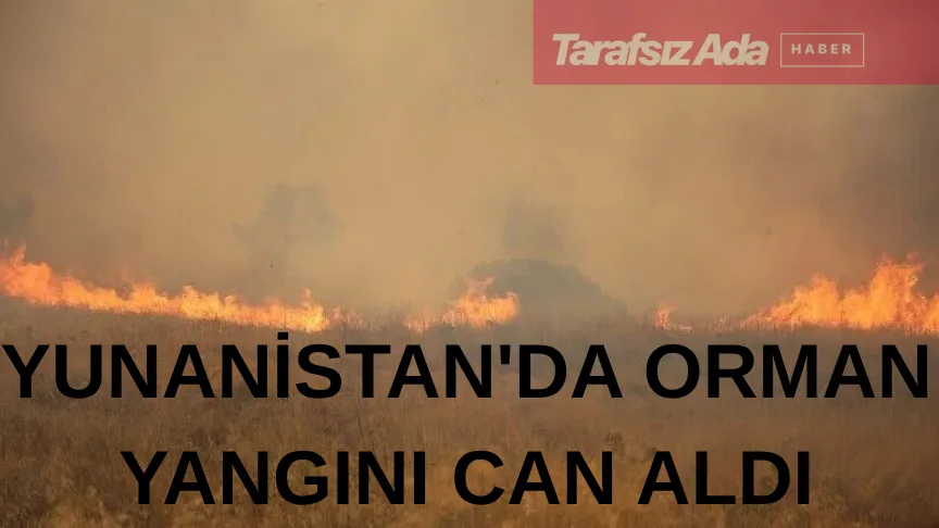 Yunanistan'ın Salamina Adası'nda orman yangını: